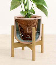 Load image into Gallery viewer, Sandy Pink stand:bamboo