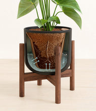 Load image into Gallery viewer, Stone Black stand:walnut