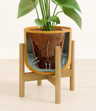 Load image into Gallery viewer, Sunset Orange stand:bamboo