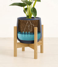 Load image into Gallery viewer, Deep Navy stand:bamboo