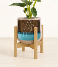 Load image into Gallery viewer, Eternal Gray stand:bamboo