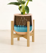 Load image into Gallery viewer, Gentle Pink stand:bamboo