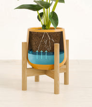 Load image into Gallery viewer, Mustard stand:bamboo