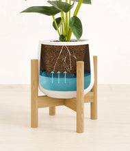 Load image into Gallery viewer, White stand:bamboo