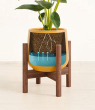 Load image into Gallery viewer, Mustard stand:walnut