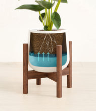 Load image into Gallery viewer, White stand:walnut