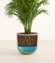 Load image into Gallery viewer, Sage Green