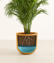 Load image into Gallery viewer, Sunset Orange