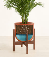 Load image into Gallery viewer, Earth Red stand:walnut