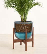 Load image into Gallery viewer, Iron Gray stand:walnut