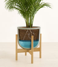 Load image into Gallery viewer, Sage Green stand:bamboo