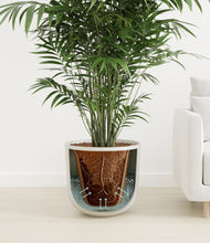 Load image into Gallery viewer, Natural Bamboo