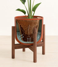 Load image into Gallery viewer, Earth Red stand:walnut