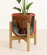 Load image into Gallery viewer, Earth Red stand:bamboo