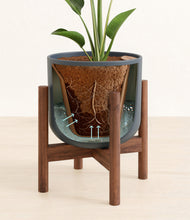 Load image into Gallery viewer, Iron Gray stand:walnut