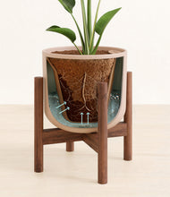 Load image into Gallery viewer, Sandy Pink stand:walnut