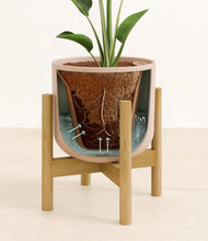 Load image into Gallery viewer, Sandy Pink stand:bamboo