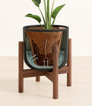 Load image into Gallery viewer, Stone Black stand:walnut