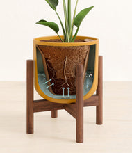 Load image into Gallery viewer, Sunset Orange stand:walnut