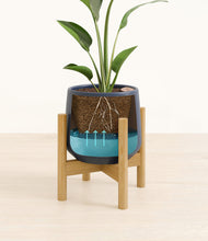 Load image into Gallery viewer, Deep Navy stand:bamboo