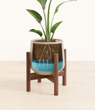 Load image into Gallery viewer, Eternal Gray stand:walnut