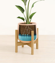 Load image into Gallery viewer, Gentle Pink stand:bamboo