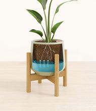 Load image into Gallery viewer, Turquoise stand:bamboo