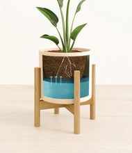 Load image into Gallery viewer, Cream stand:bamboo