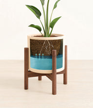 Load image into Gallery viewer, Cream stand:walnut