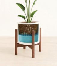 Load image into Gallery viewer, White stand:walnut