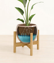 Load image into Gallery viewer, Desert Brown stand:bamboo