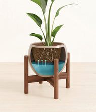 Load image into Gallery viewer, Desert Brown stand:walnut