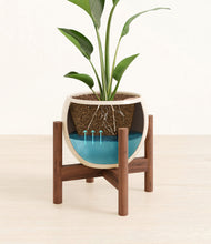 Load image into Gallery viewer, Shiny EggWhite stand:walnut