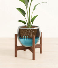 Load image into Gallery viewer, Deep Ocean stand:walnut