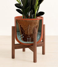 Load image into Gallery viewer, Earth Red stand:walnut