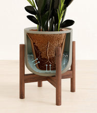 Load image into Gallery viewer, Sage Green stand:walnut