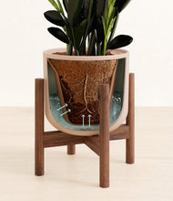 Load image into Gallery viewer, Sandy Pink stand:walnut