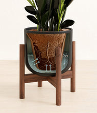 Load image into Gallery viewer, Stone Black stand:walnut