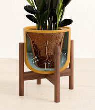 Load image into Gallery viewer, Sunset Orange stand:walnut