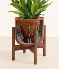 Load image into Gallery viewer, Earth Red stand:walnut