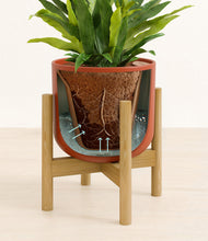Load image into Gallery viewer, Earth Red stand:bamboo