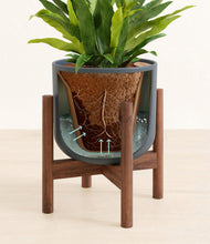 Load image into Gallery viewer, Iron Gray stand:walnut