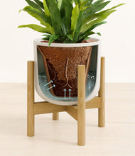 Load image into Gallery viewer, Natural Bamboo stand:bamboo