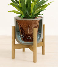 Load image into Gallery viewer, Sage Green stand:bamboo