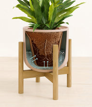 Load image into Gallery viewer, Sandy Pink stand:bamboo