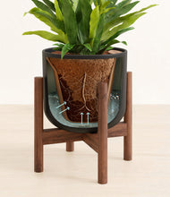 Load image into Gallery viewer, Stone Black stand:walnut