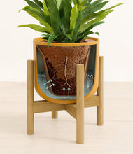 Load image into Gallery viewer, Sunset Orange stand:bamboo