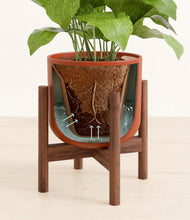 Load image into Gallery viewer, Earth Red stand:walnut