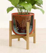 Load image into Gallery viewer, Earth Red stand:bamboo