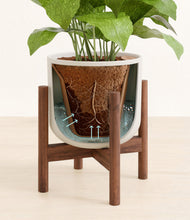 Load image into Gallery viewer, Natural Bamboo stand:walnut
